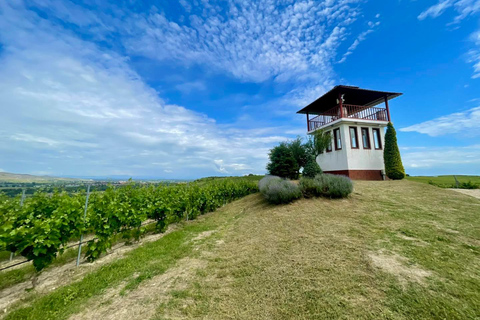 From Sofia: Krichim Palace and Wine Tasting Day Tour