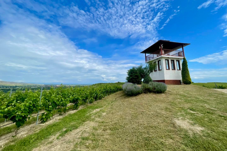 From Sofia: Krichim Palace and Wine Tasting Day Tour