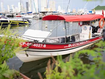 Cartagena : bateau privé vers les îles Rosario et Baru