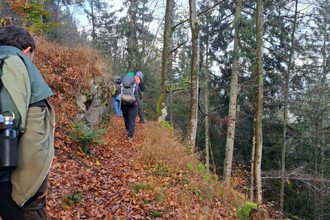 Harzer Hexenstieg - 5-day guided hiking tour (Thu-Mon)