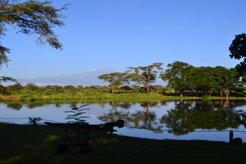 Mombasa: 3-Day Tsavo East/West & Kilimanjaro Views Safari