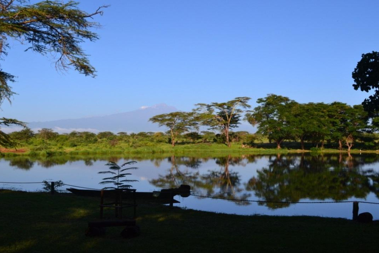 Mombasa: 3-Day Tsavo East/West & Kilimanjaro Views Safari