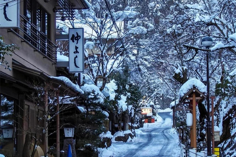 Osaka: Kyoto Private Day Tour with Sagano Scenic Railway Private Car Package