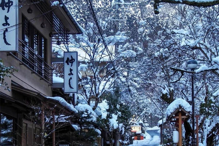 Osaka: Kyoto Private Day Tour with Sagano Scenic Railway Private Car Package