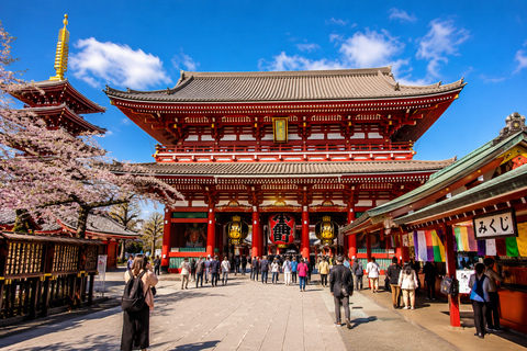 Tokyo Private Customizable City Highlights Guided Tour