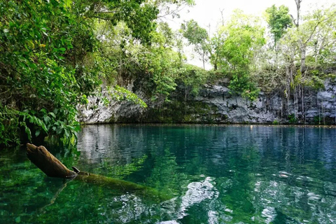 Puerto Plata: Tour della laguna di Dudu, Monkeyland e Playa Grande