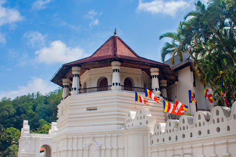 From Sigiriya: Kandy Private Tour with Dambulla Temple