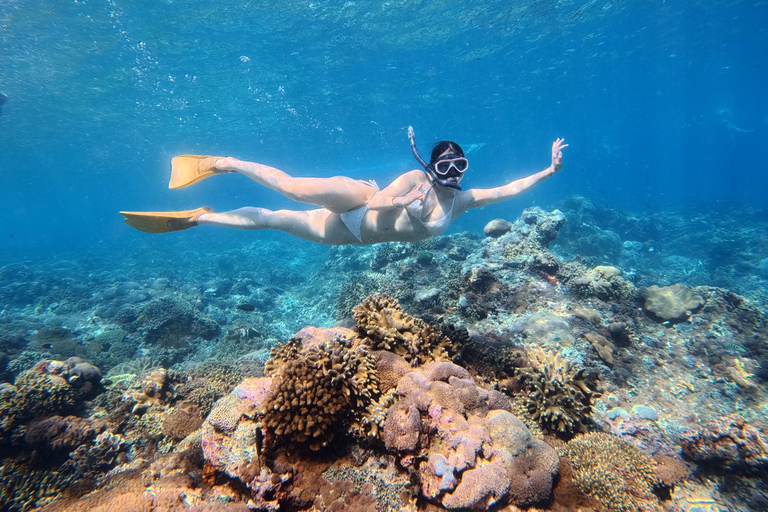 Nusa Penida: Snorkeling Adventure 3-Spots with Manta Rays Nusa Penida: Snorkeling Manta Point 3-Spots with Manta Rays