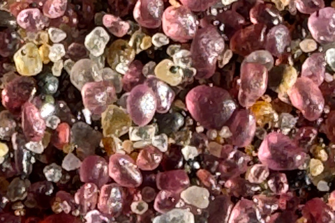 Walvisbay: Sandwich Harbour 4x4 Tour-Unparalleled Experience