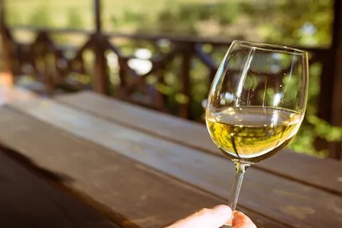 Franschhoek Tram Wine Tasting Full-Day Experience