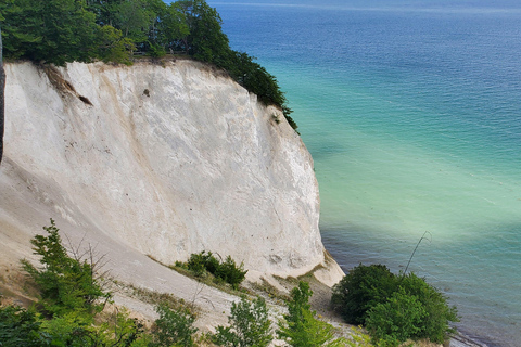 Møns Klint: Forest Tower, Møns Klint, and Fossil Hunt Tour UNESCO Møns Klint and Forest Tower Tour