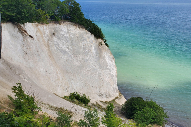 Møns Klint: Forest Tower, Møns Klint, and Fossil Hunt Tour UNESCO Møns Klint and Forest Tower Tour