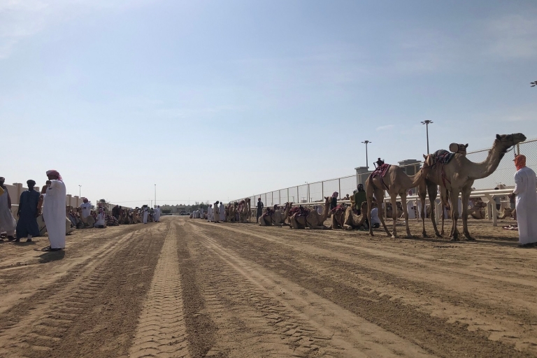 Kamelenracebaan van Doha: Oryx Farm en Sheikh Faisal Museum.Doha: Oryx Watch, kamelenracebaan en Sheikh Faisal Museum