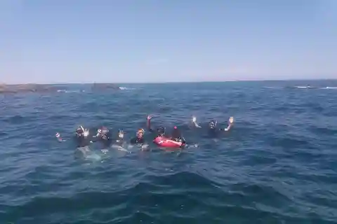Argelès-sur-Mer: snorkel en el Parque Natural Marino