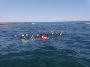 Argelès-sur-Mer: snorkel en el Parque Natural Marino