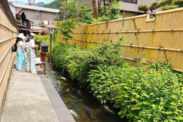 Gujo Hachiman Day Trip: Mountain Castle & Traditional Town The popular Gujyo town tour