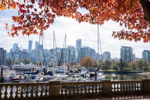 Vancouver: Stanley Park & City Highlights Small Group Tour