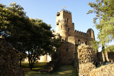 Addis Abeba: 10-dniowa wycieczka w góry Simien i Lalibela