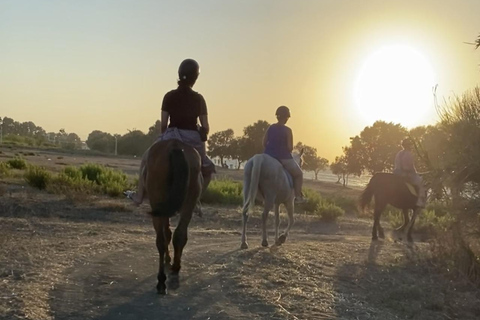 جزيرة رودس: ركوب الخيل على الشاطئ عند غروب الشمس