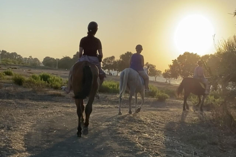 جزيرة رودس: ركوب الخيل على الشاطئ عند غروب الشمس
