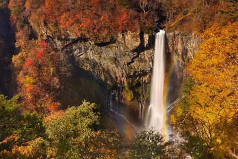 Tokyo: Nikko World Heritage Sites Scenic Private Day Tour