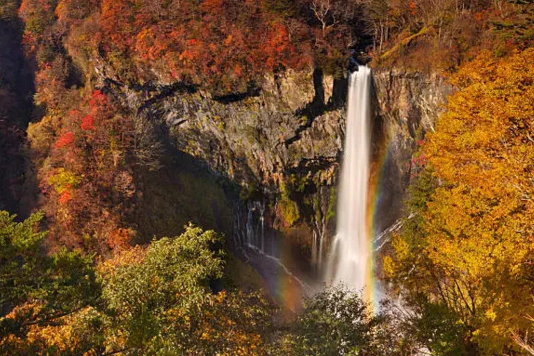 Tokyo: Nikko World Heritage Sites Scenic Private Day Tour