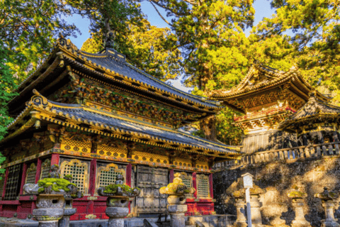From Tokyo: Nikko World Heritage Private Tour with Guide Nikko World Heritage Full Day share Van tour