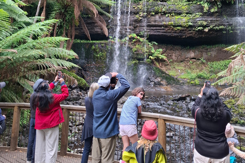 Mt Field Shore Excursion