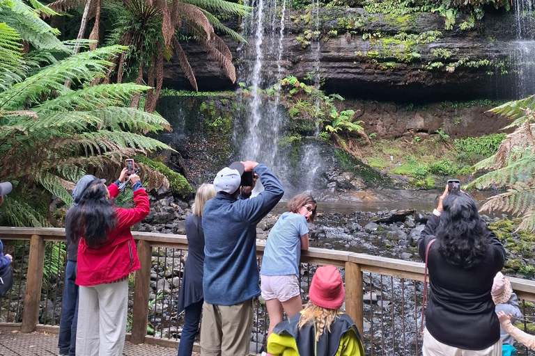 Mt Field Shore Excursion