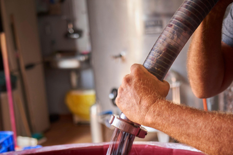 Priorat : visite œnologique à Gratallops pour découvrir les meilleurs vins naturels