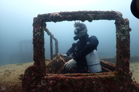 Pattaya: Fun Dive 2 Ocean Dives and Lunch (Certified Diver)