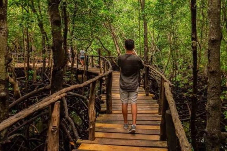 Zanzibar: Jozani Forest, Salaam Cave & Mtende Beach Tour Private Tour With Transfer But Entry Fees are not Included