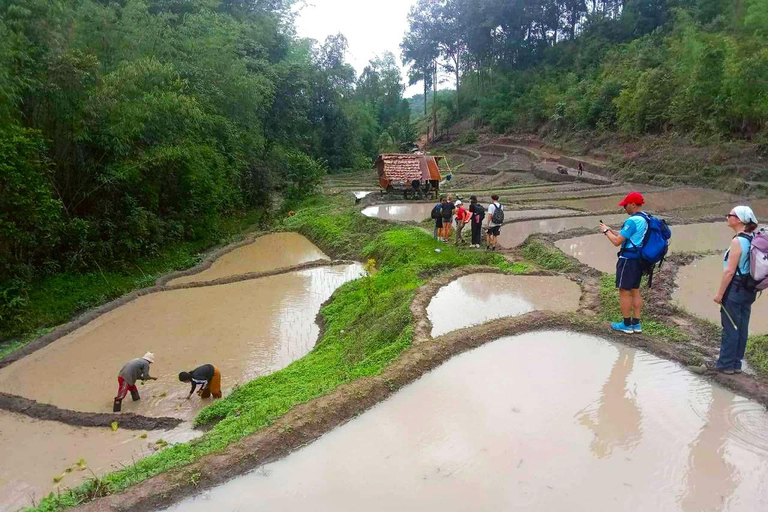 Chiang Mai: 1-Day Jungle Trekking in the Doi Inthanon Area
