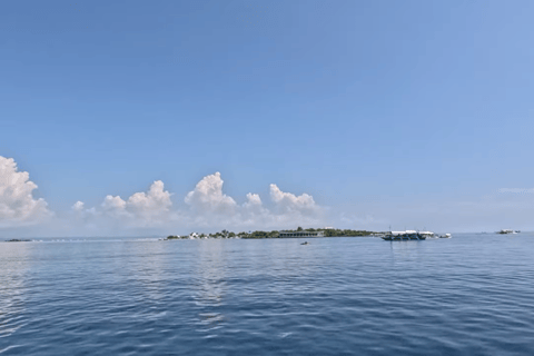 Cebu: Island Hop to Gilutungan, Caohagan, Nalusuan and Lunch