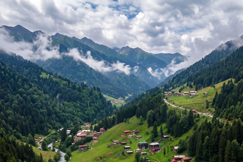 From Trabzon: Ayder Plateau Day Trip with Tea Factory