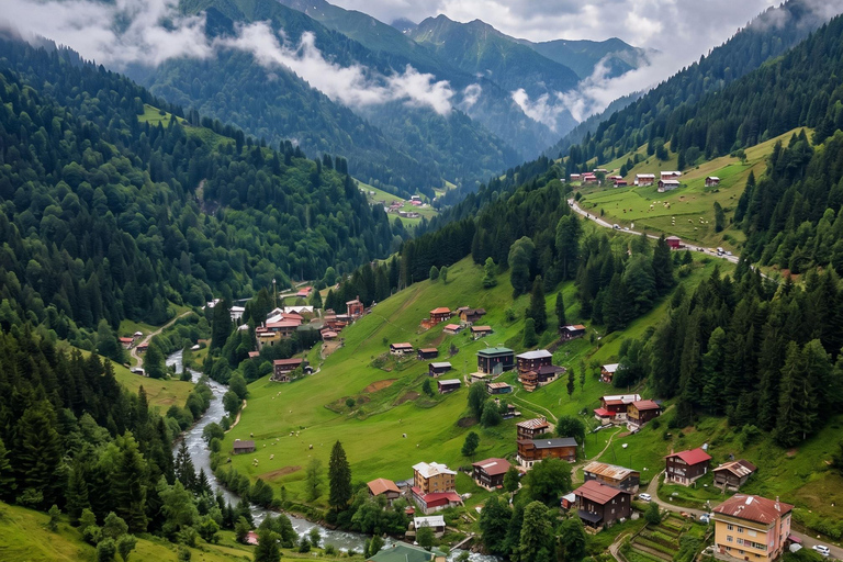 From Trabzon: Ayder Plateau Day Trip with Tea Factory