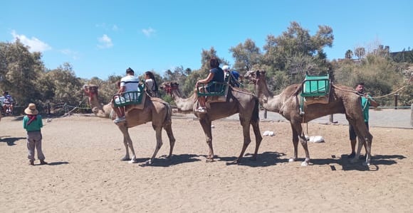 e-Scooter Tour Playa Ingles + Camel Ride on Masplomas Dunes