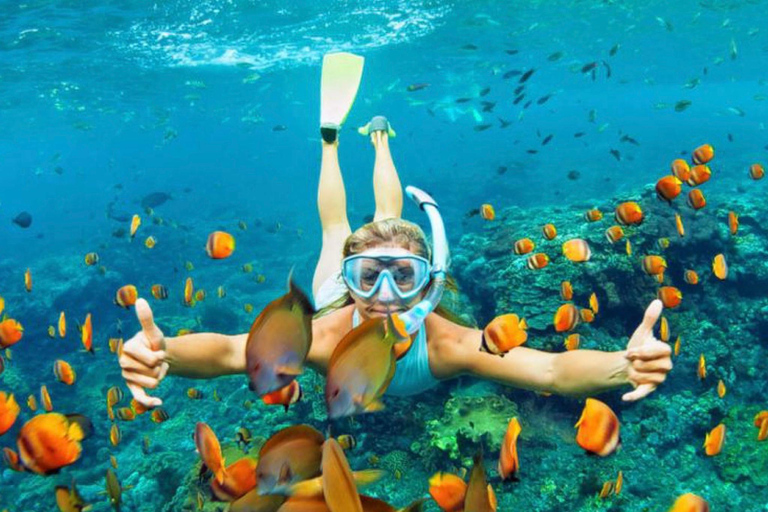 Bali: Blue Lagoon & Tanjung Jepun Snorkeling Tickets Snorkelling only ( NO Lunch Option )