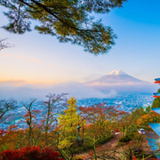 富士山・箱根プライベートツアー、英語ガイド、写真 - 2026件（実際の