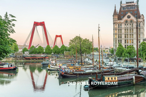 Täglicher Rundgang durch Rotterdam und Delft