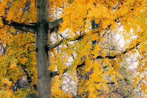 Graz Instagram Photo-Tour: K-Style Portraits In Iconic Spots