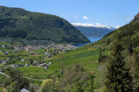 Vik i Sogn: Visita a una auténtica granja