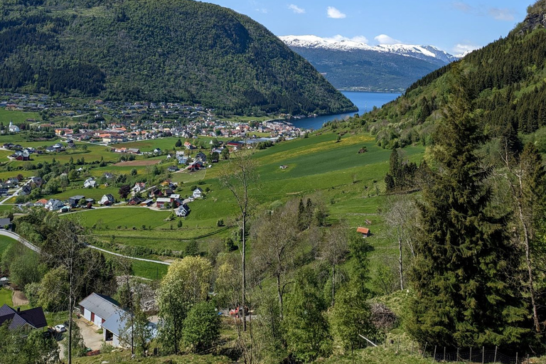 Vik i Sogn: Visita a una auténtica granja