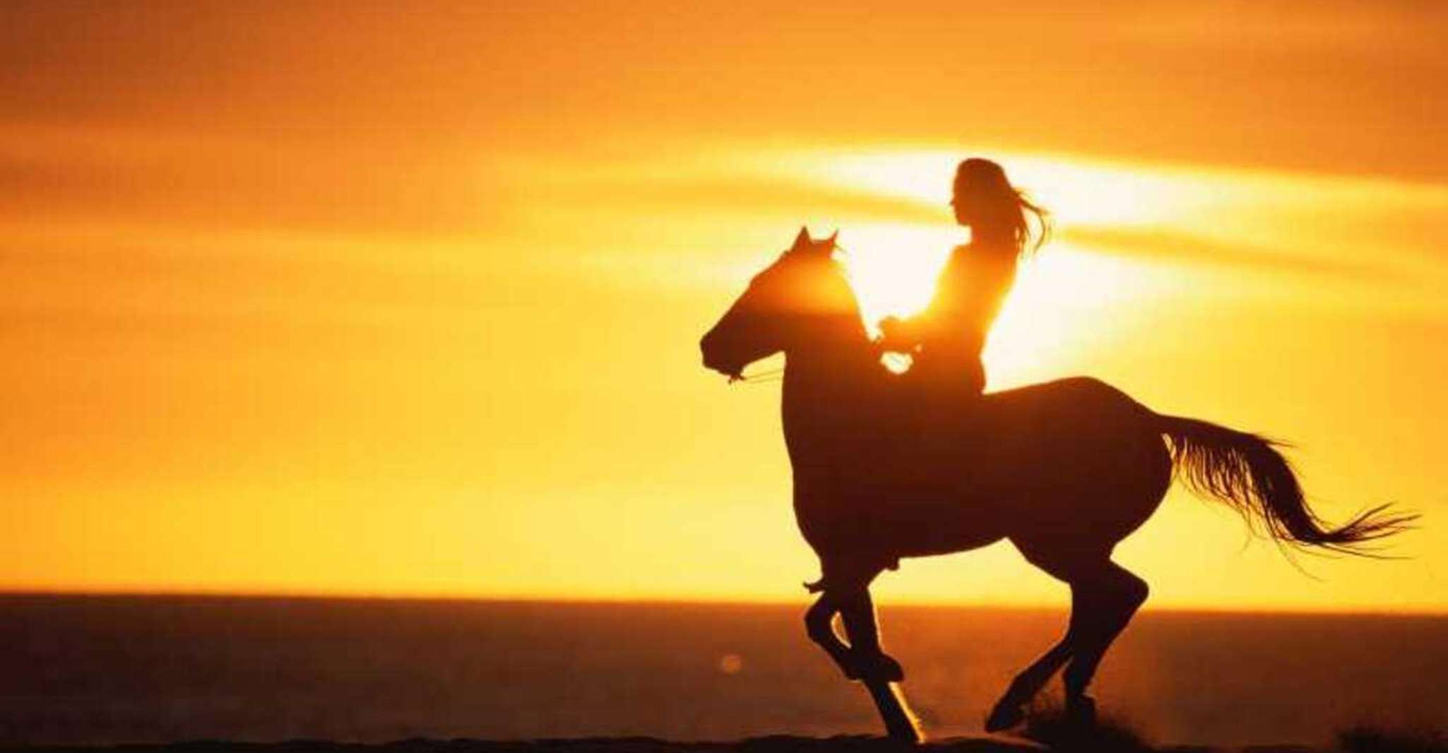 Agadir/ Taghazout, 2 heures de promenade à cheval sur la plage - Hizvo