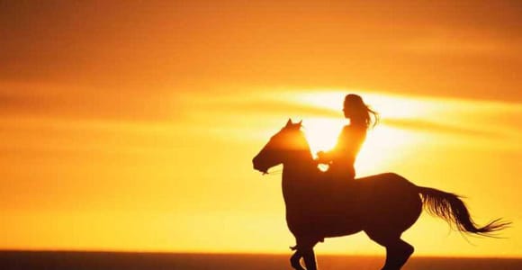 Agadir and Taghazout: 2-Hour Horseback Ride on the Beach