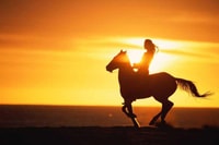 Agadir/ Taghazout, 2 ore a cavallo sulla spiaggia - Hizvo