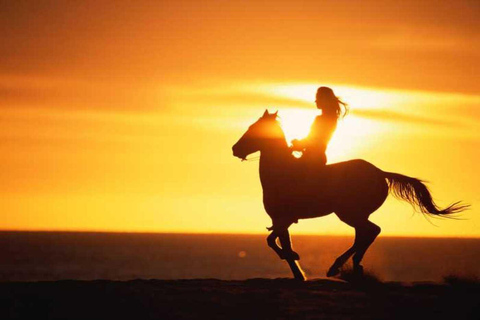 Agadir e Taghazout: Passeio a cavalo de 2 horas na praia ao pôr do solTour de 2 horas em inglês, francês, alemão ou polonês