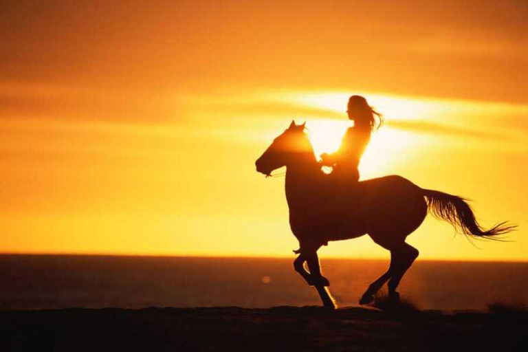 Agadir e Taghazout: Passeggiata a cavallo di 2 ore sulla spiaggia al tramontoTour di 2 ore in inglese, francese, tedesco o polacco