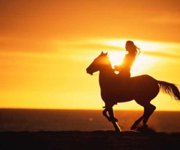 Agadir/ Taghazout: 2 horas de passeio a cavalo na praia