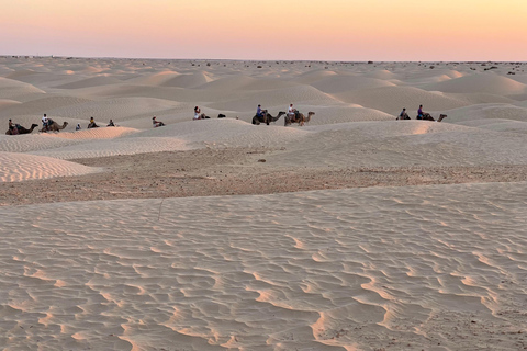 Expédition au Sahara : Trekking à dos de chameau et bivouac pour 2 personnes